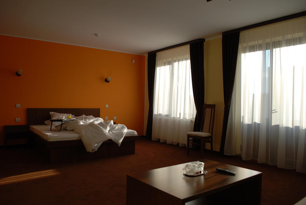 Vila Aris Iasi Pokoj fotografie