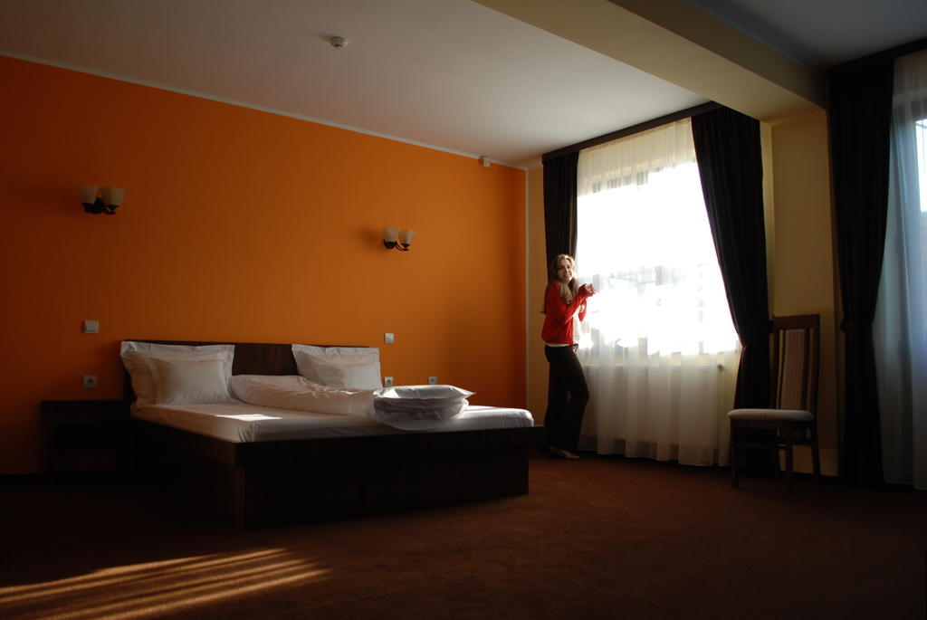 Vila Aris Iasi Pokoj fotografie