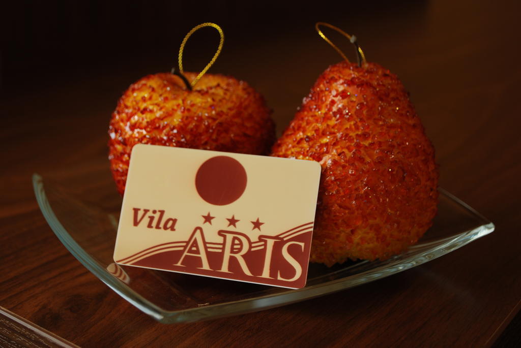 Vila Aris Iasi Pokoj fotografie